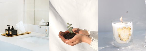 Embracing Green Living Beyond Fragrance: Tips for an Eco-Friendly Home